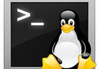 linux-penguin-crt